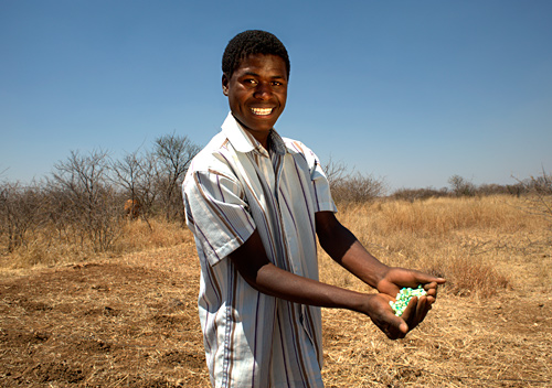 School pupil receiving seed, Diocese of Matabeleland