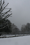 Lambeth Palace Garden in the snow