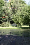 The main pond in Lambeth Palace Garden
