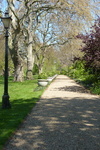 Spring sunshine in Lambeth Palace Garden