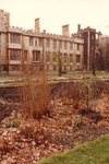 The Garden in the Autumn of 1986 Before Work